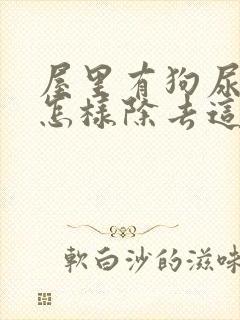 屋里有狗尿骚味怎样除去这个味道