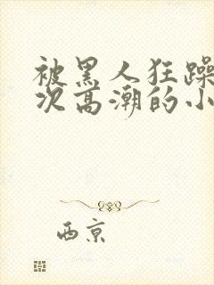 被黑人狂躁12次高潮的小说