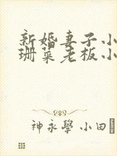 新婚妻子小说芷珊菜老板小说全文阅读