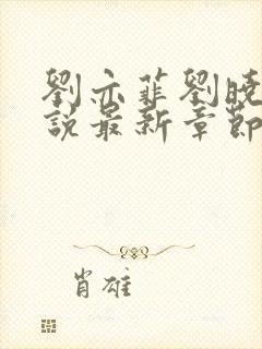 刘亦菲刘晓莉小说最新章节更新