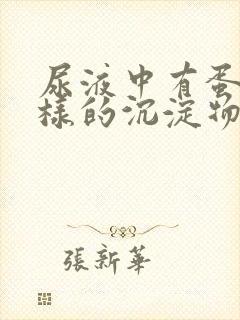 尿液中有蛋清一样的沉淀物