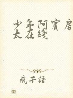 少年阿宾房东太太在线封面