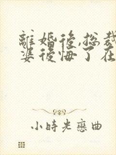 离婚后,总裁老婆后悔了在线下载封面