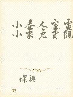 小巷人家电视剧小象免费观看封面