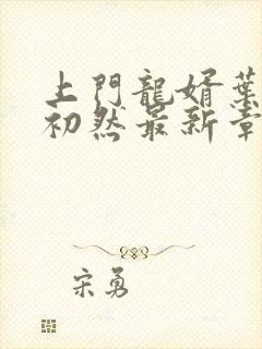 上门龙婿叶辰萧初然最新章