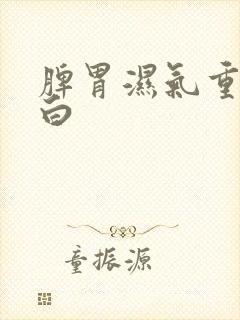 脾胃湿气重舌苔白