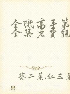 全职高手第6季全集免费观看封面