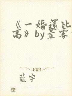 《一婚还比一婚高》by晨雾的光