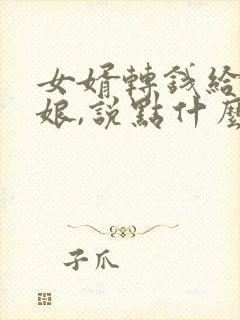 女婿转钱给丈母娘,说点什么好了?