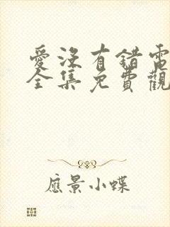 爱没有错电视剧全集免费观看封面