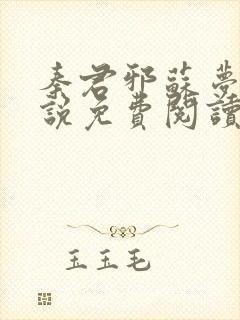 秦君邪苏梦安小说免费阅读全文封面