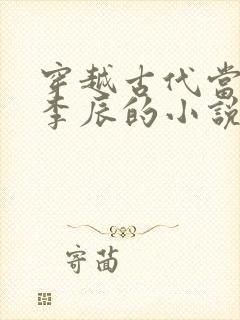 穿越古代当太子李辰的小说封面