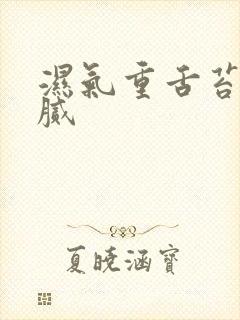 湿气重舌苔白厚腻封面