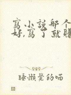 写小说哪个平台好,写了就赚钱封面