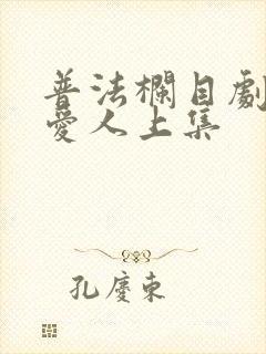 普法栏目剧再见爱人上集