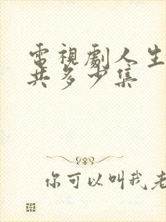 电视剧人生之路共多少集