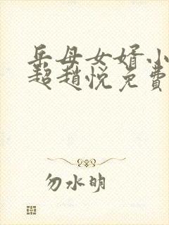 岳母女婿小说陈超赵悦免费阅读