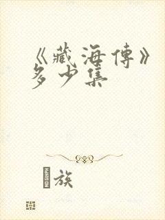 《藏海传》一共多少集