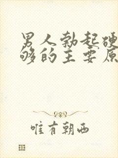 男人勃起硬度不够的主要原因