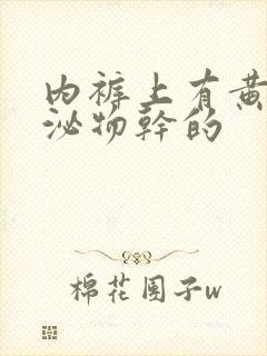 内裤上有黄色分泌物干的