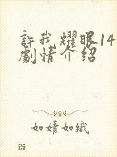 许我耀眼14集剧情介绍