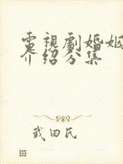 电视剧婚姻剧情介绍分集