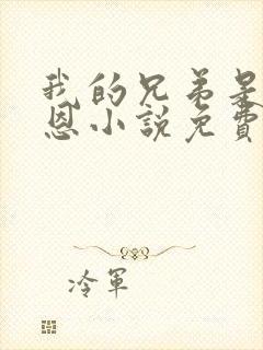 我的兄弟是王承恩小说免费阅读