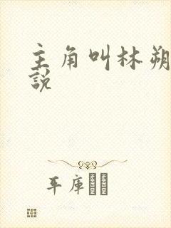 主角叫林朔的小说