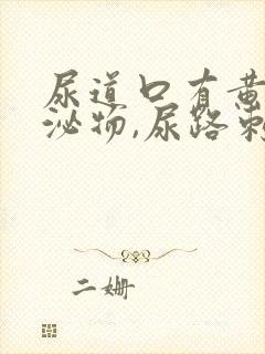 尿道口有黄色分泌物,尿路刺痛