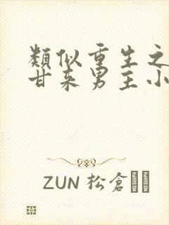 类似重生之苦尽甘来男主小混混小说