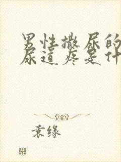 男性撒尿的时候尿道疼是什么原因