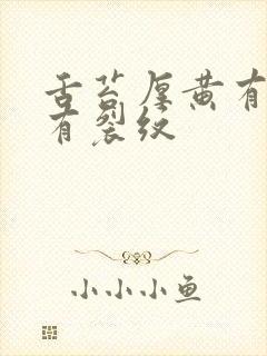 舌苔厚黄有齿痕有裂纹