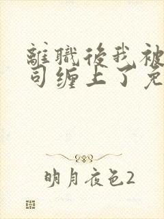 离职后我被前上司缠上了免费小说封面