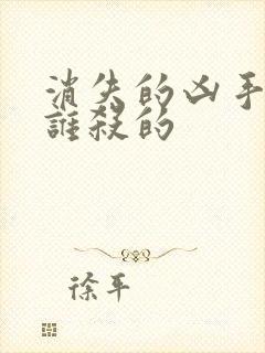 消失的凶手段是谁杀的