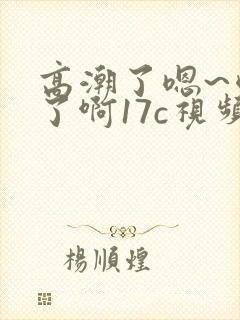 高潮了嗯~喷水了啊17c视频
