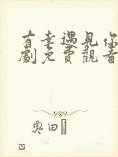 有幸遇见你电视剧免费观看全集封面