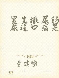 男生撒尿的时候尿道口痛是什么原因