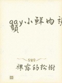 gay小鲜肉视频封面