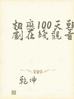 相恋100天韩剧在线观看全集免费