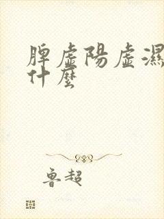 脾虚阳虚湿盛吃什么