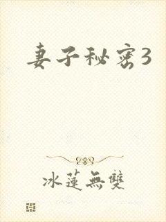 妻子秘密3