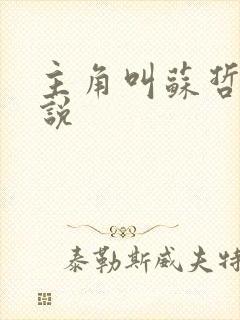 主角叫苏哲的小说