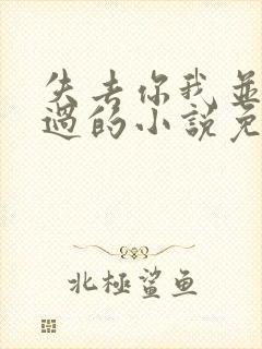 失去你我并不难过的小说免费阅读