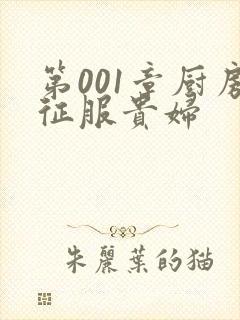 第001章厨房征服贵妇