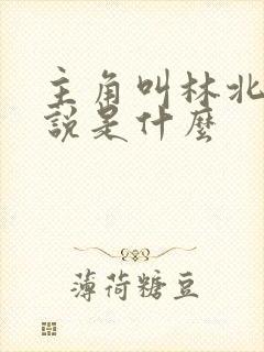 主角叫林北的小说是什么