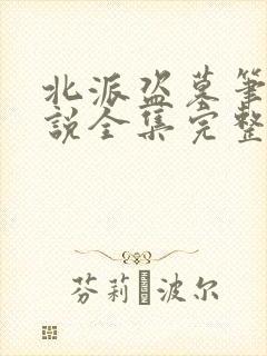 北派盗墓笔记小说全集完整版txt封面