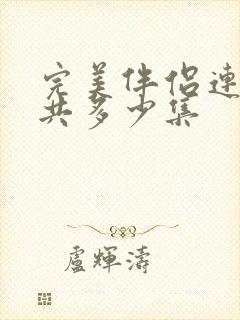 完美伴侣连续剧共多少集