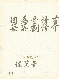 因为爱情有多美每集剧情介绍