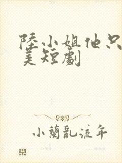 陆小姐他只想独美短剧