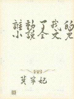 谁动了我的老婆小说全文免费阅读